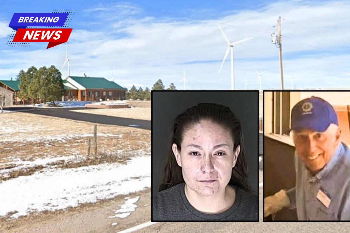 79-year-old grandfather cutting grass on lawn mower was hit by a stoned Subaru driver and sent 'flying' to his death while wife was 'watching him' through the window. Cops
