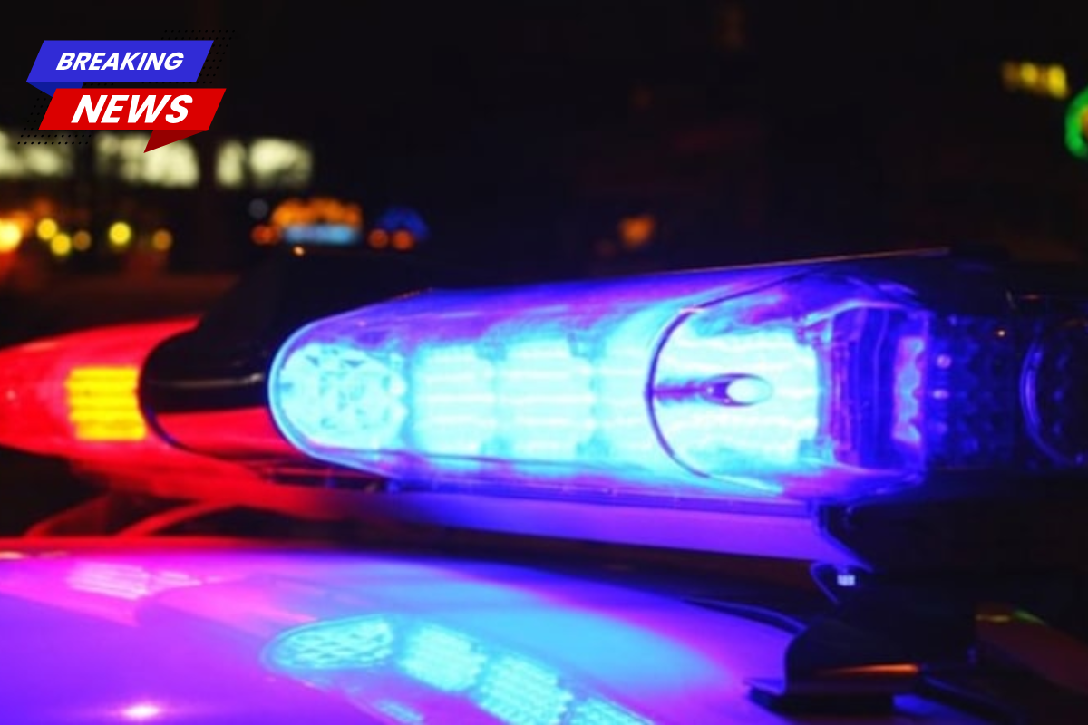 Officer fatally shot Virginia man who was 'butchering his family' with a dagger, according to police