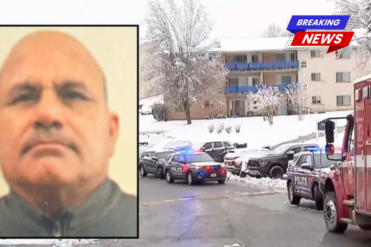 A man clearing snow from his car returns home to find his wife and mother-in-law being stabbed with a meat cleaver before granddad turns the blade on him: Cops