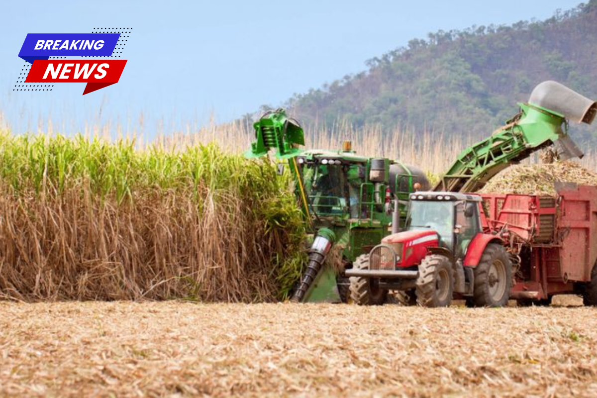 According to reports, a biofuel plant owes Ascension Parish over $50 million as a result of a lawsuit