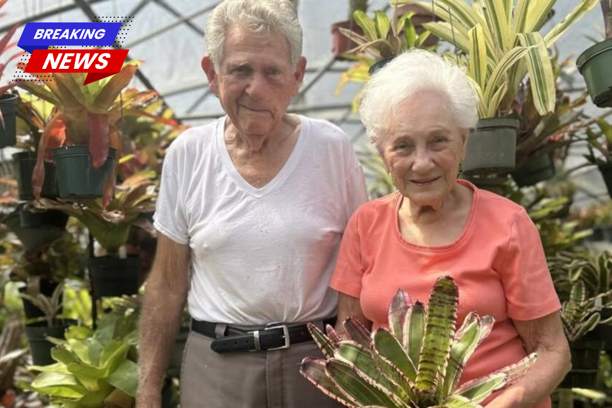 Pop-Up Bromeliad and Specialty Plant Sale Set for February 27-28 in Thibodaux