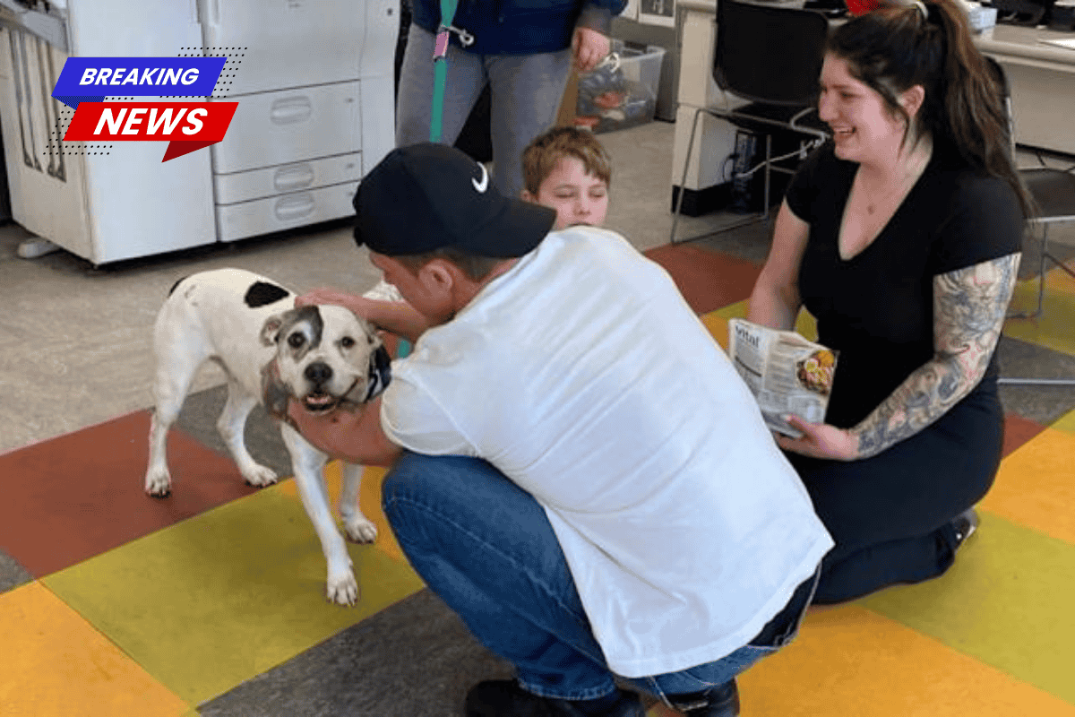 A missing dog reunited with family, eleven years after he was stolen from their backyard
