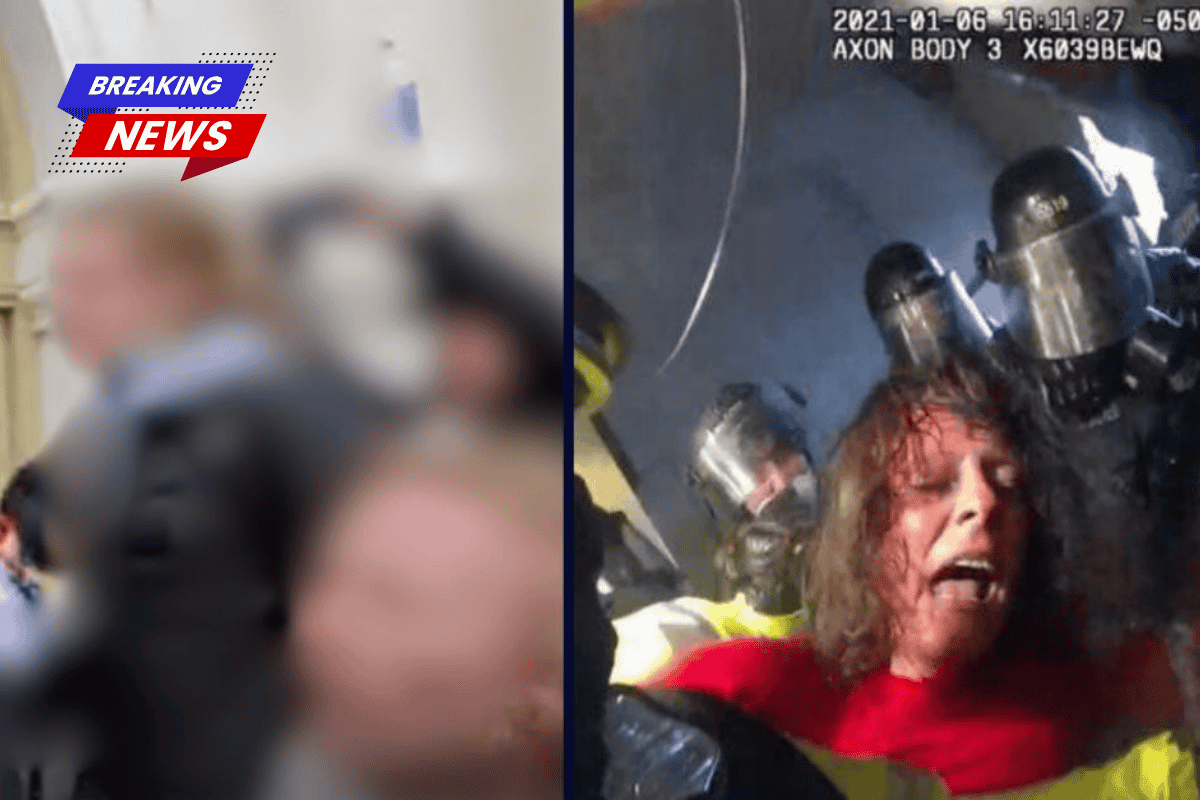 'Admittedly joined a mob' Judge Dismisses Jan. 6 Defendant’s Excessive Force Claim, Grants Police Qualified Immunity