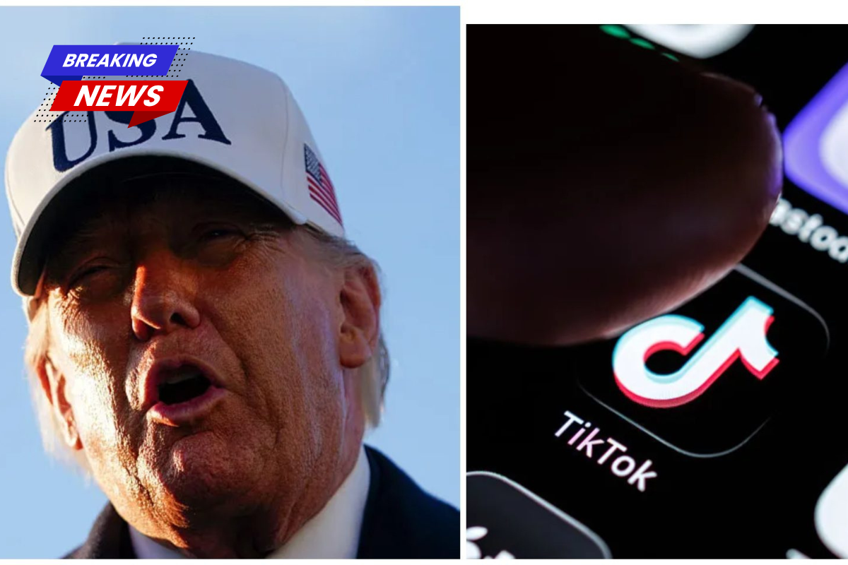 Calls for Donald Trump's impeachment have increased following reports that his administration will pocket a $10 billion fee from the TikTok deal