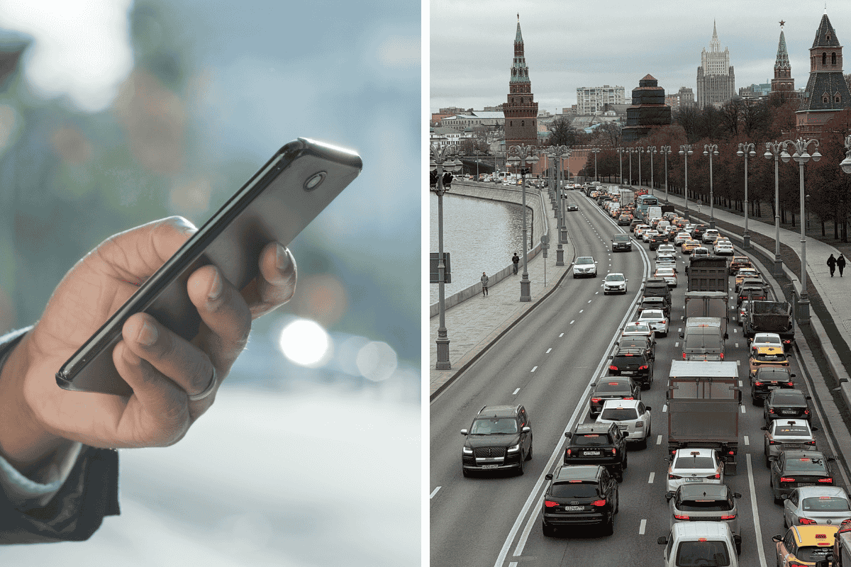 Can New Mexico Police Search My Phone During a Traffic Stop Here's What the Law Says