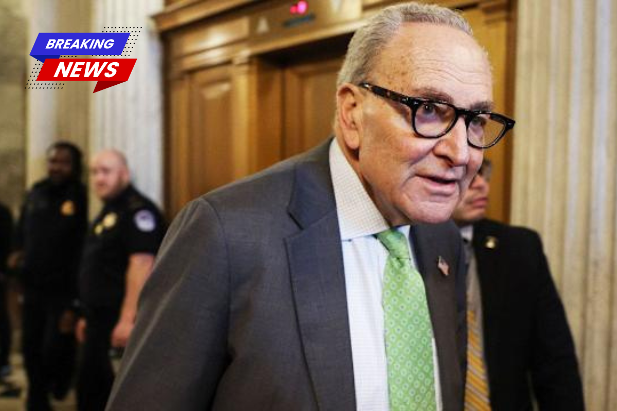 Dem senators call to fund DHS after voting against it four times during the shutdown fight