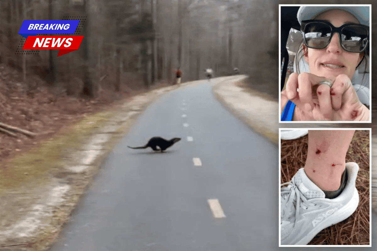 In a 'extremely unusual' attack, a woman in North Carolina was mauled by an otter while cheering on friends at the marathon