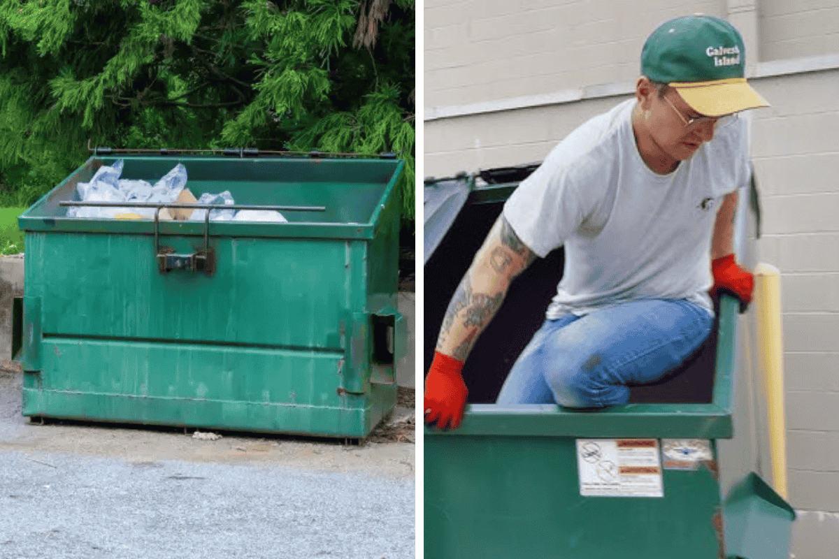 Is It Illegal to Dumpster Dive in Alaska Here’s What the Law Says