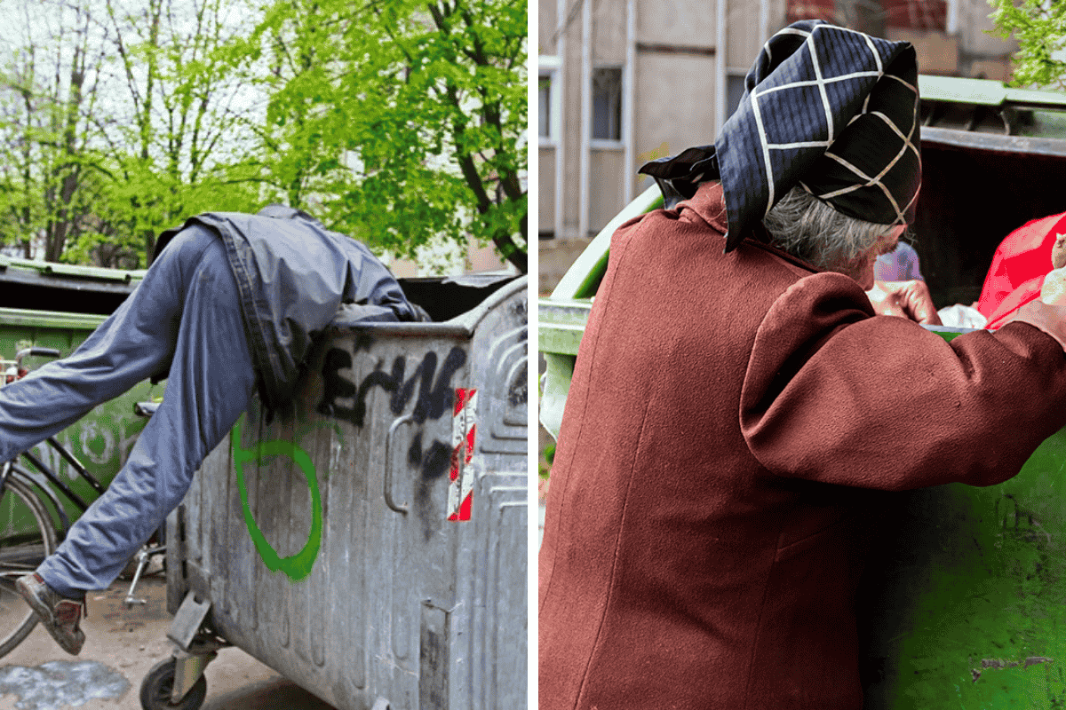 Is It Illegal to Dumpster Dive in West Virginia Here’s What the Law Says