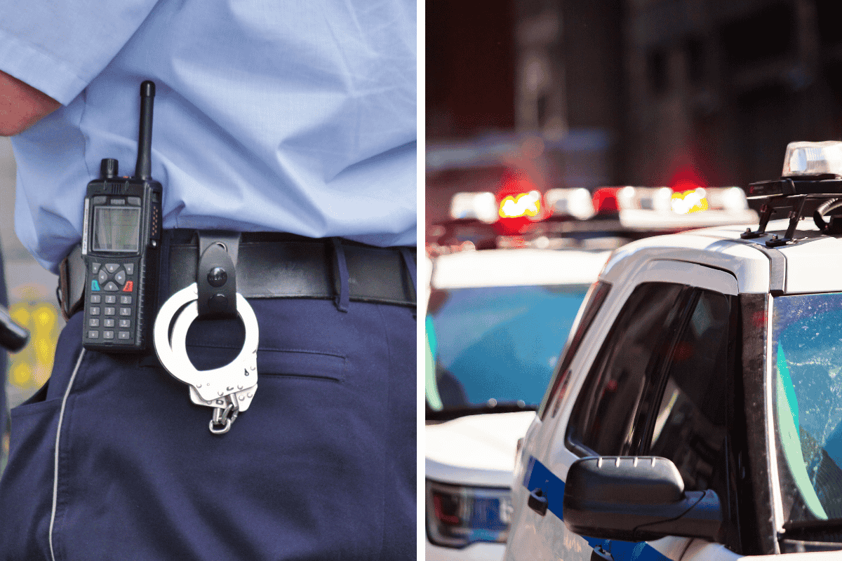 Is It Illegal to Flip Off a Cop in Delaware Here's What the Law Says