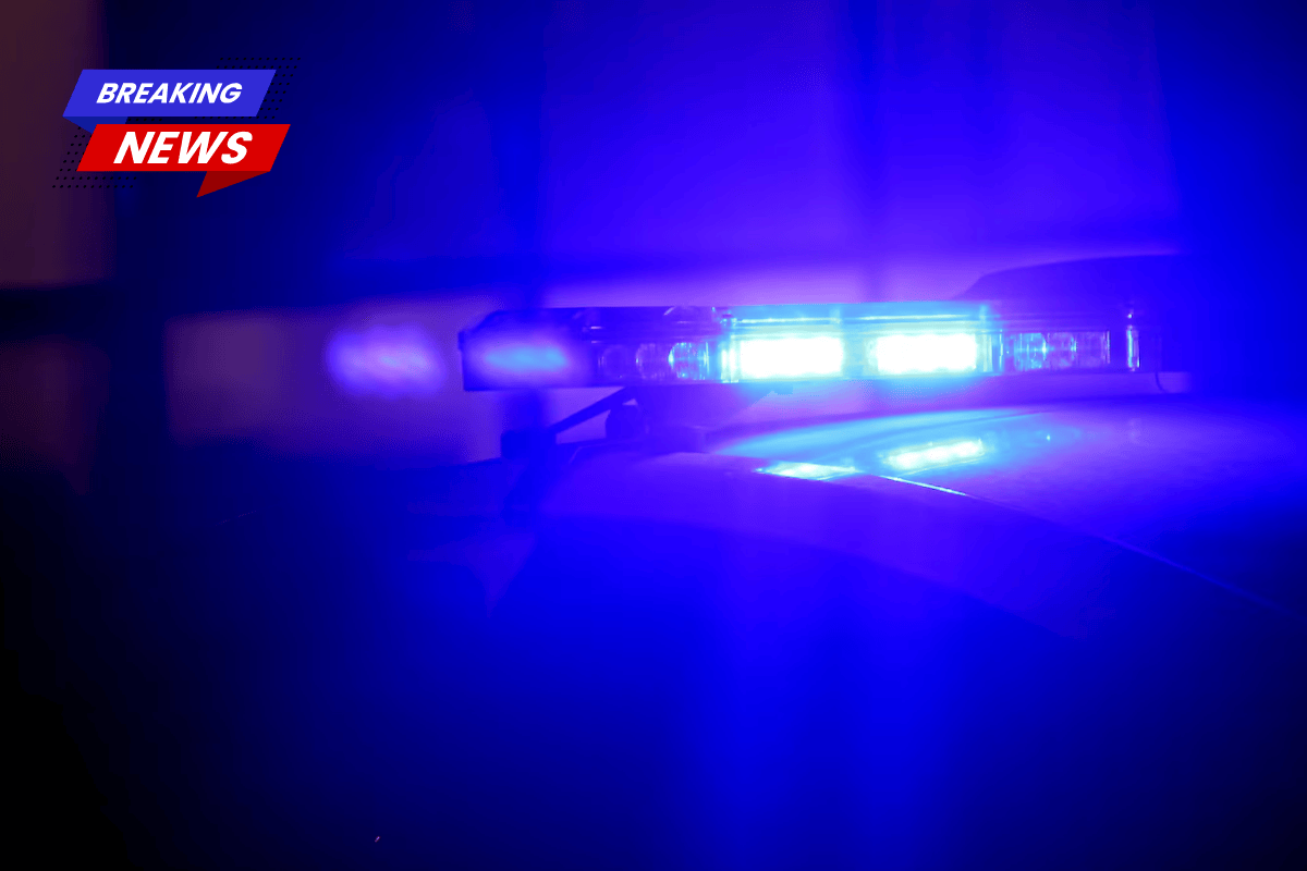 Kenner police chase ends in crash at chateau boulevard and vintage drive