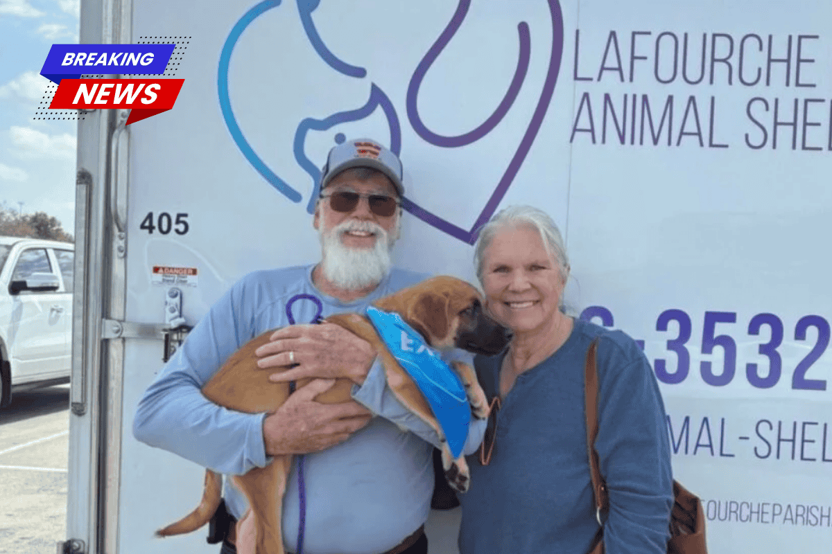 Lafourche Parish Animal Shelter is offering free pet adoptions until Friday