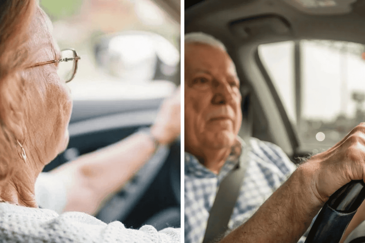 License Renewal for Seniors in Alaska What You Need to Know