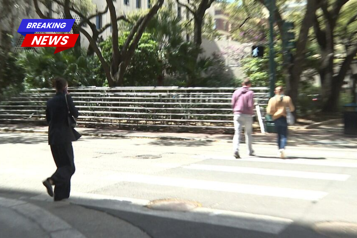 Louisiana Republican politician hopes to ban cellphone use in crosswalks