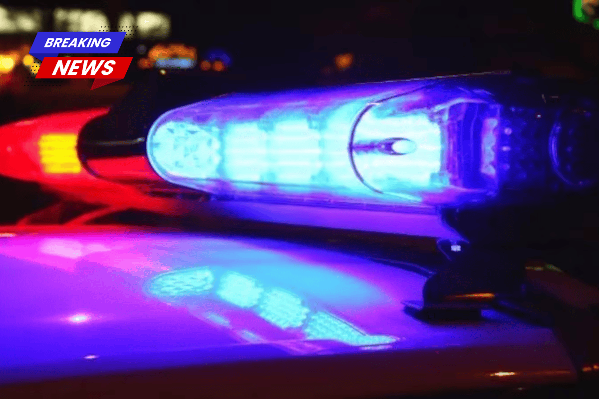 Men wielding guns and hammers kidnapped a woman near the Fair Grounds, according to the NOPD