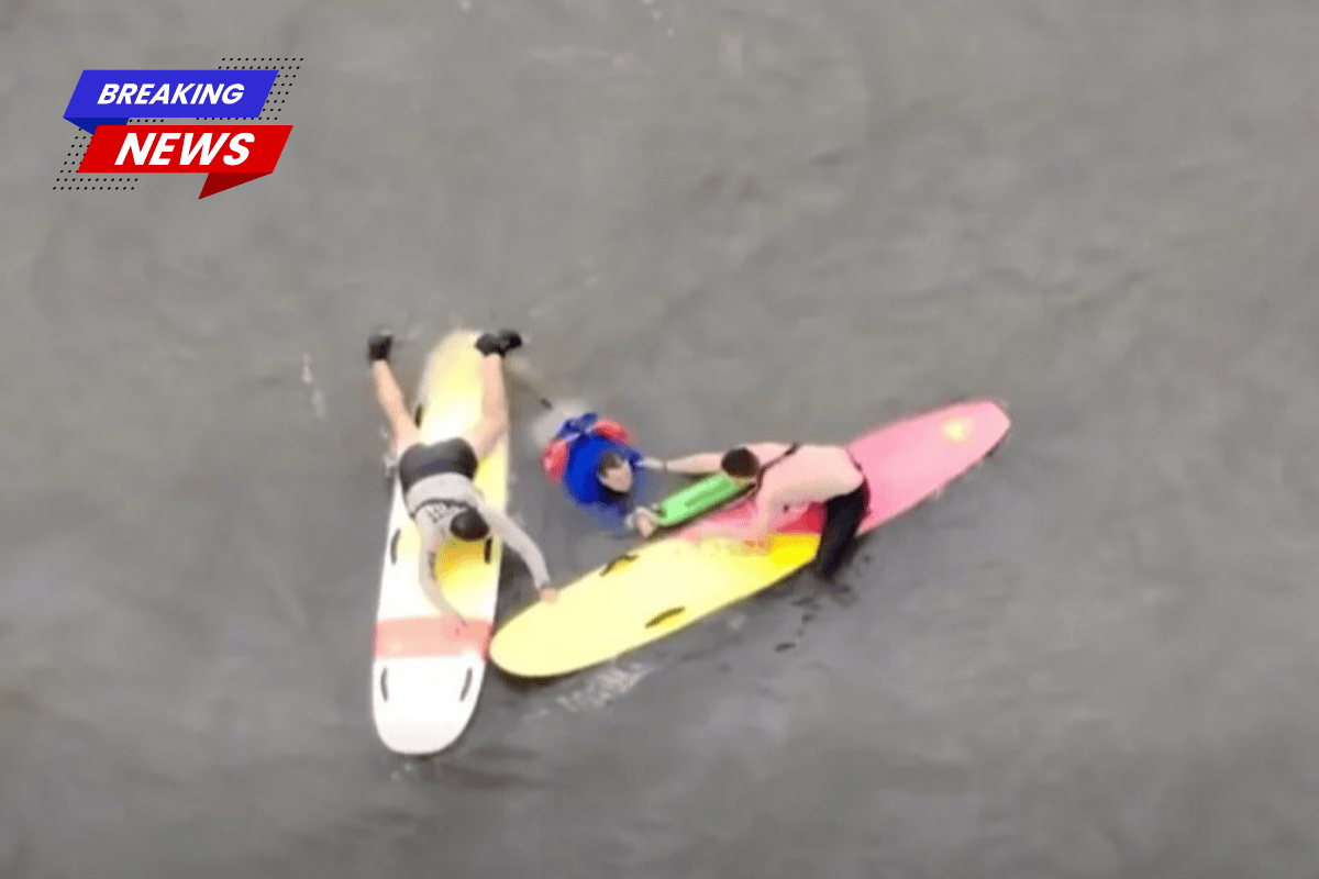 Police chase a suspect on paddleboards as he jumps into the river and swims away