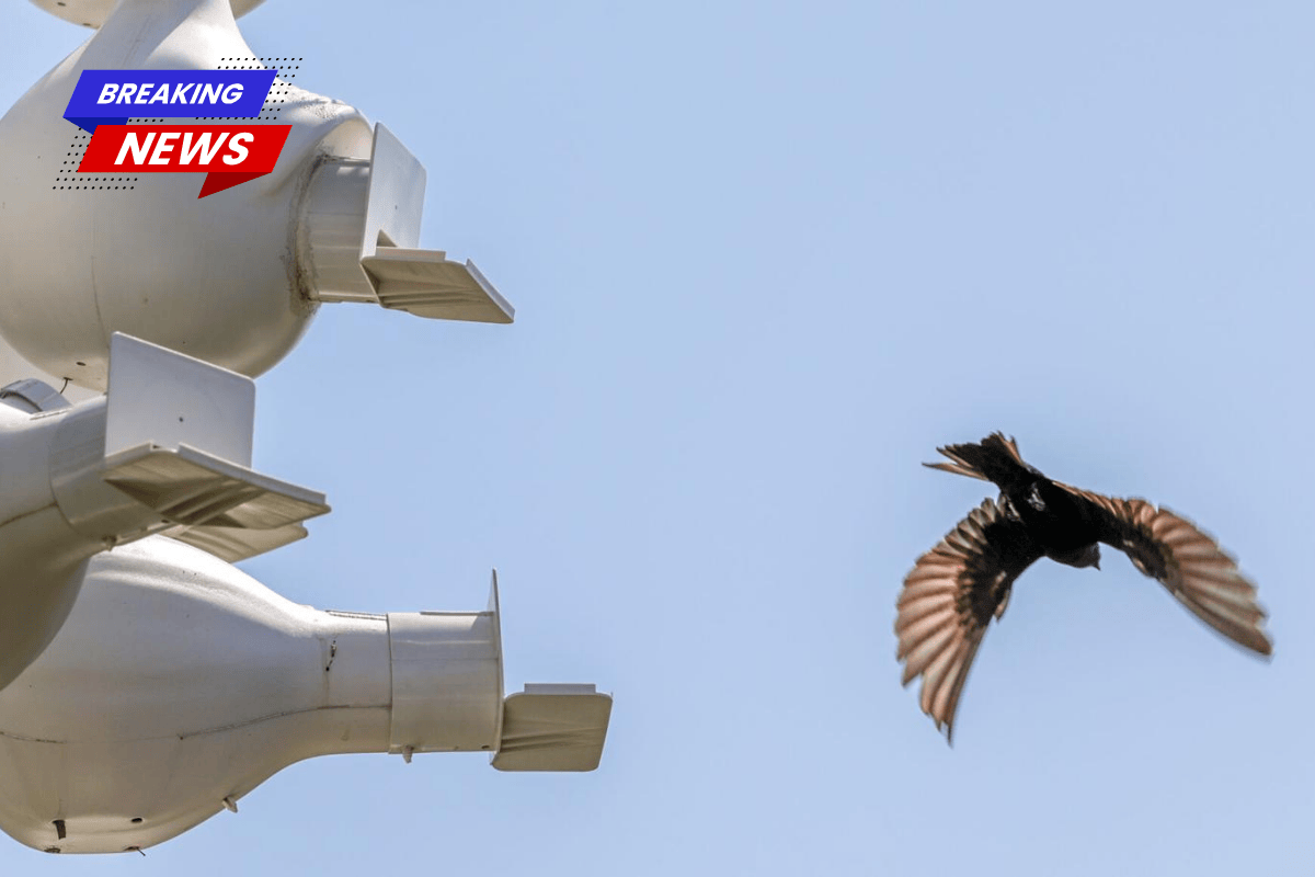 The retired Harahan couple's purple martin nests were discovered to be a 'nuisance' after bird poop complaints