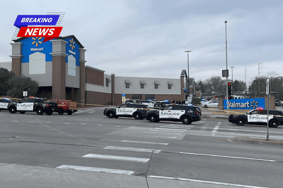 A 3-year-old boy was snatched from Walmart and held at knifepoint by a woman who was shot dead by cops