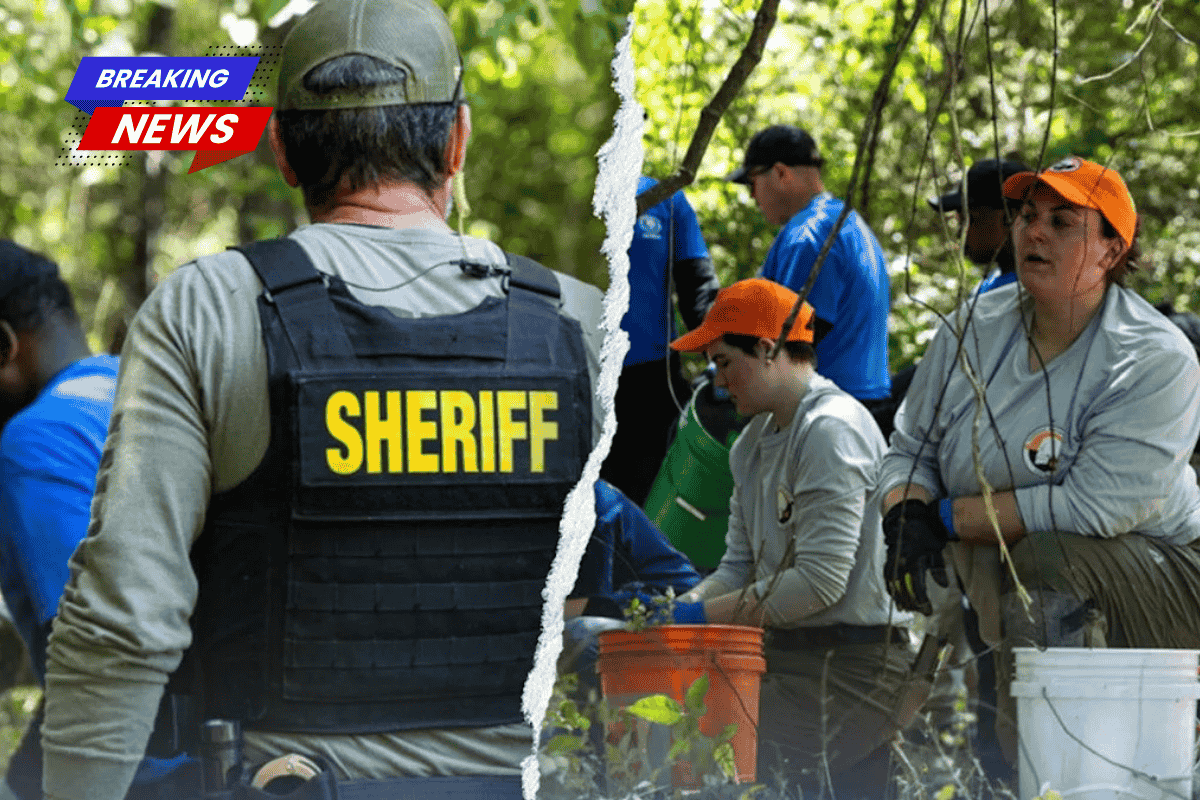 A dog walker discovered the remains of three unidentified children in the woods