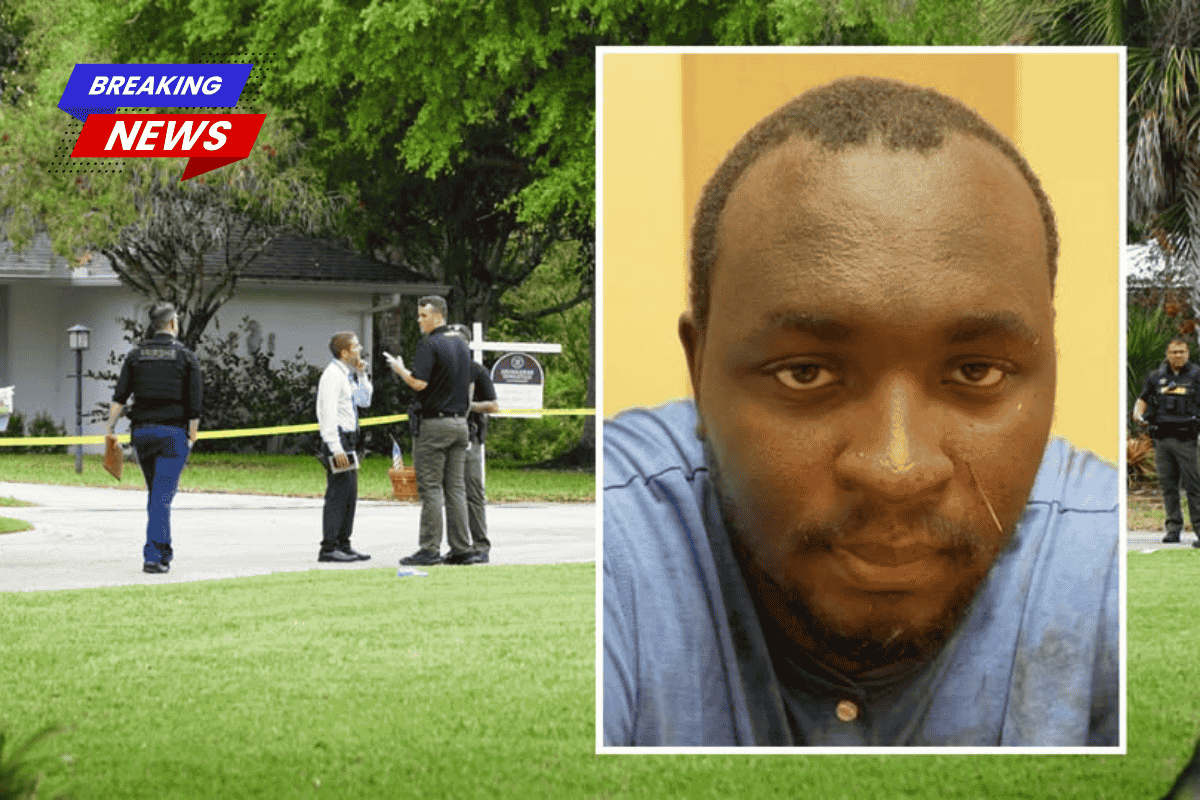 After knocking on doors in the neighbourhood, a man randomly stabs a woman in her 70s while walking her dog, inserting the blade into her up to 16 times