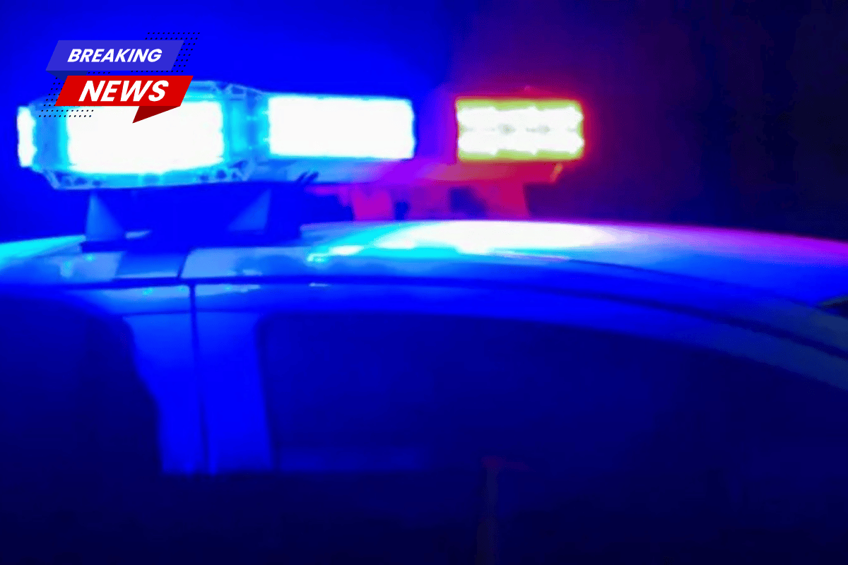 Alexandria police detain four in a weapons case, with more expected