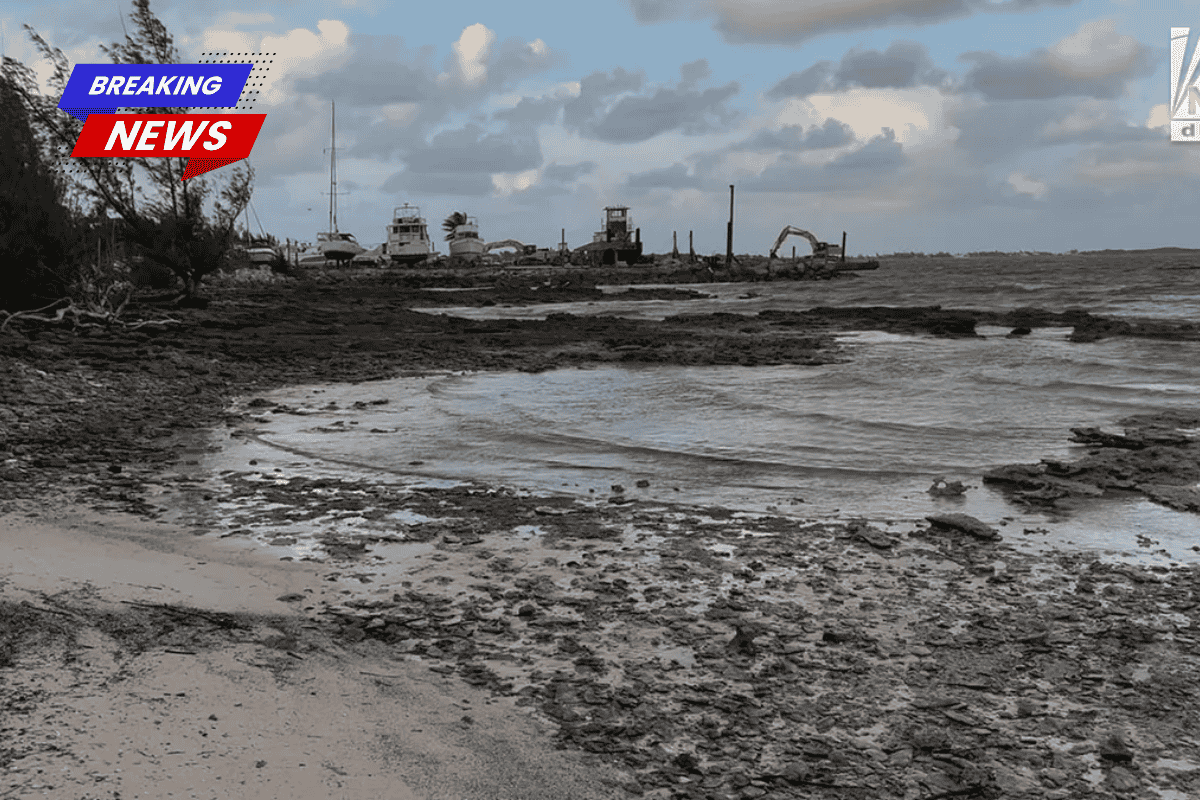 Boatyard employee discovered 'exhausted' missing an American's husband when he washed ashore after a night adrift