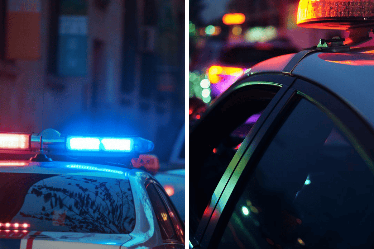 Can South Carolina Police Search My Phone During a Traffic Stop Here's What the Law Says