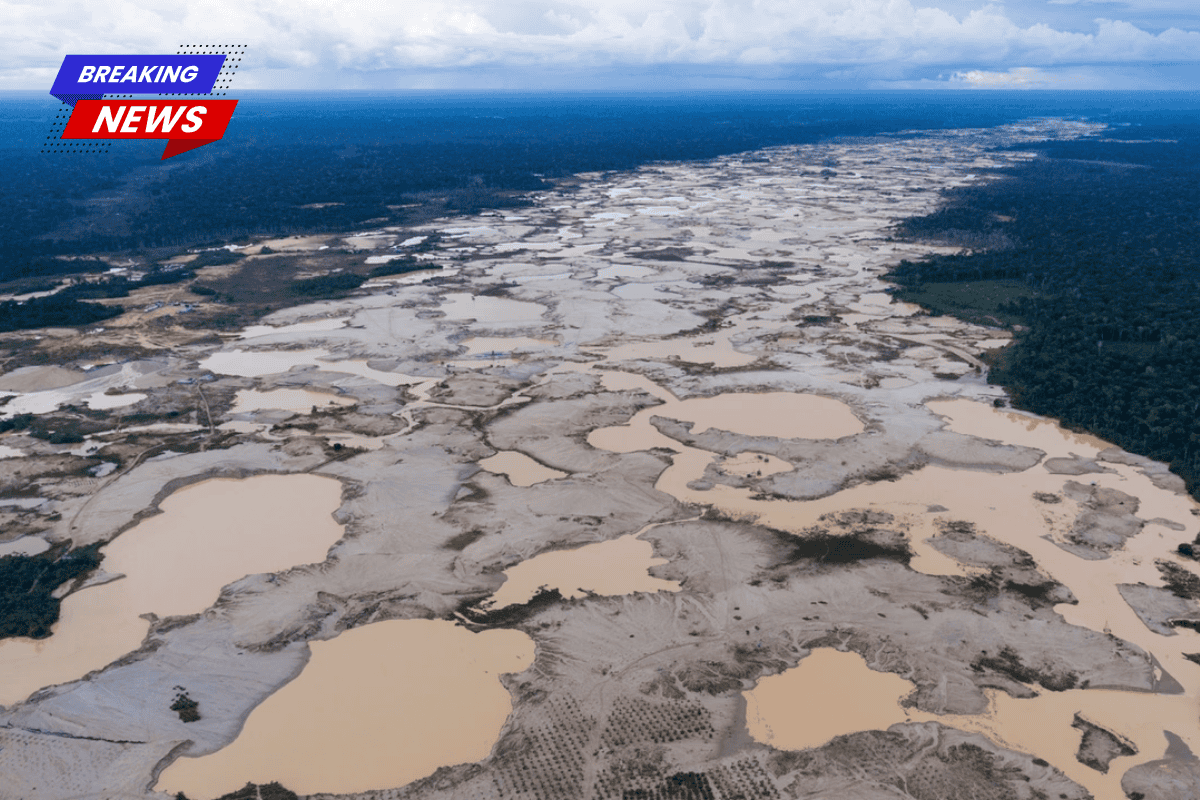 Despite the mounting environmental issue, the Peruvian election highlights a lack of strategy to combat illegal mining