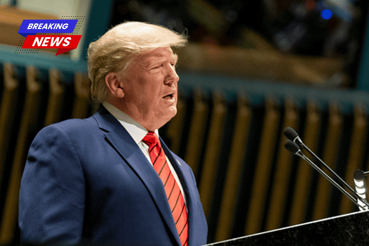 Experts warn that weaponising the 25th Amendment may permanently destabilise the presidency