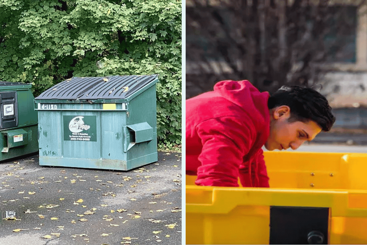 Is It Illegal to Dumpster Dive in Maryland Here’s What the Law Says