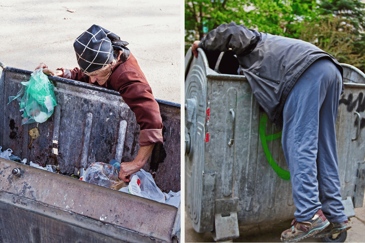 Is It Illegal to Dumpster Dive in Massachusetts Here’s What the Law Says