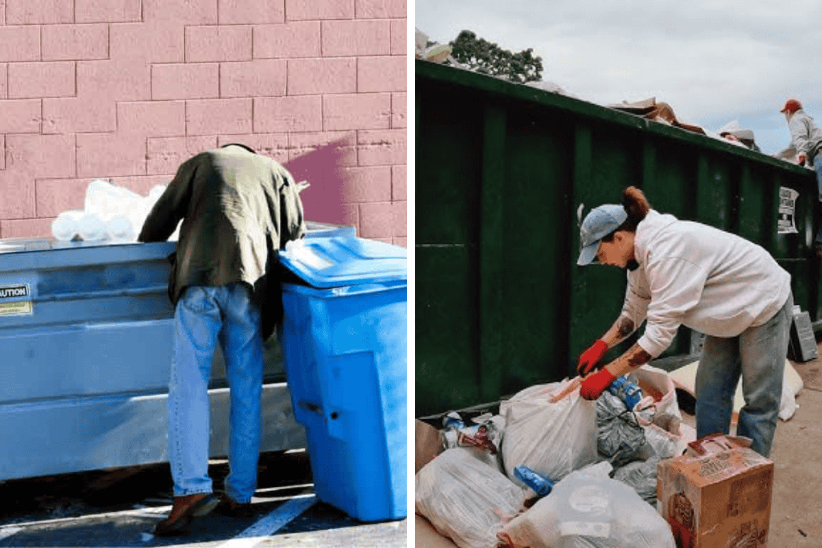 Is It Illegal to Dumpster Dive in Oregon Here’s What the Law Says