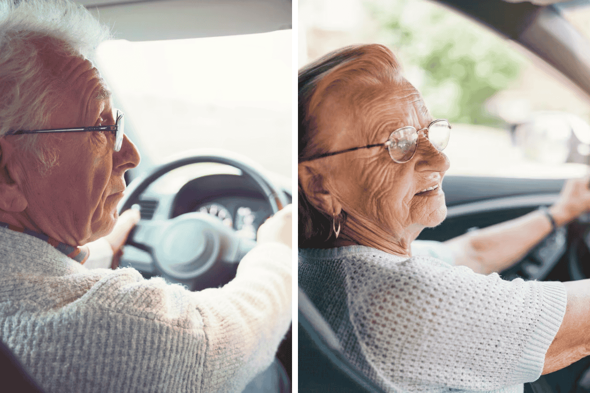 License Renewal for Seniors in Idaho What You Need to Know