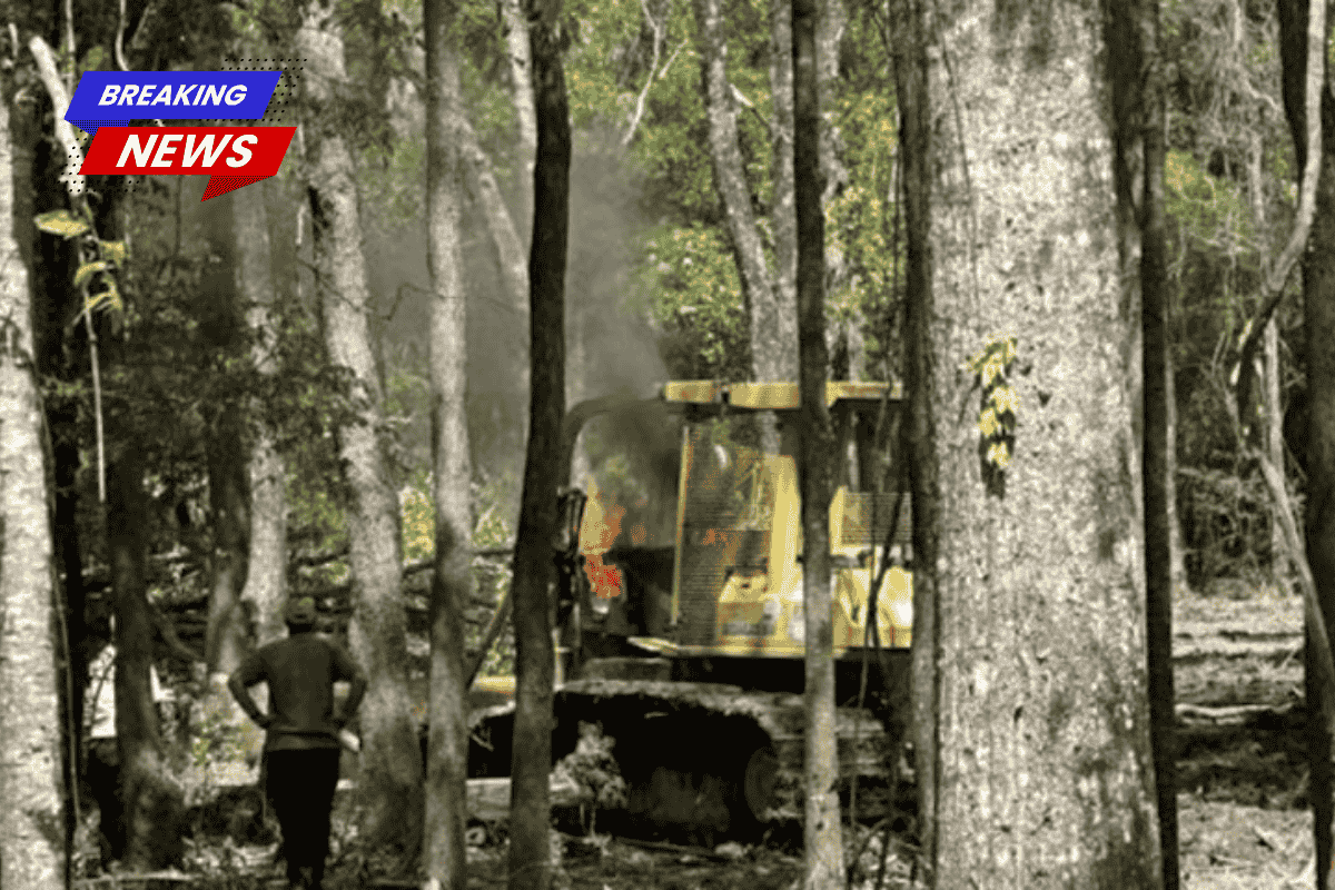 Livingston Parish crews confront a bulldozer fire off Cane Market Road in Walker