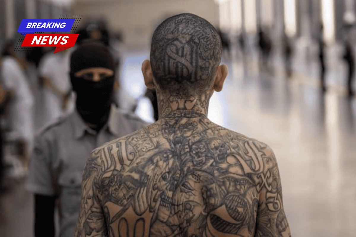 MS-13 suspects went human hunting during murder spree across California and Nevada, according to prosecutors