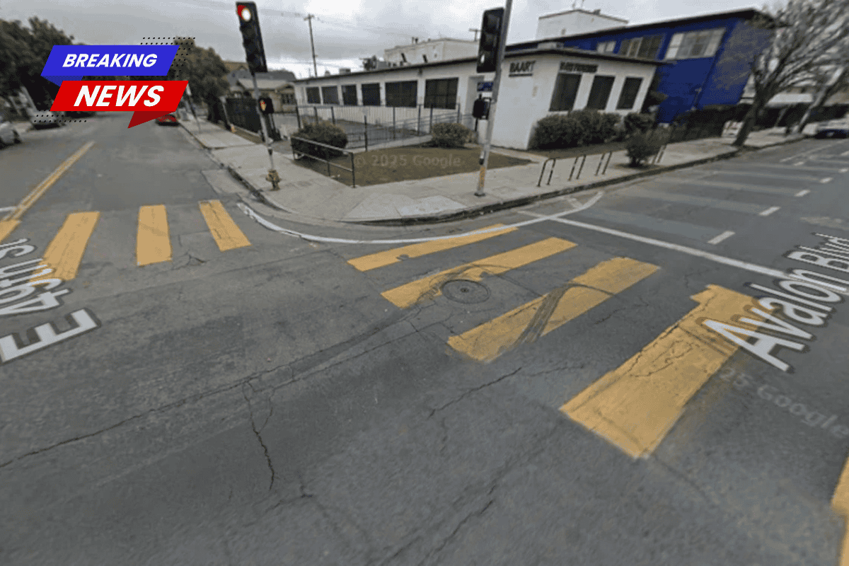 South Los Angeles Crosswalk Fatality 88-Year-Old Victim; Hit-and-Run Suspect Still at Large