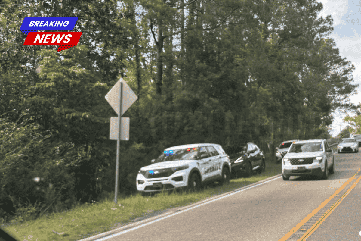 St. Tammany Possible human remains discovered near Highway 11
