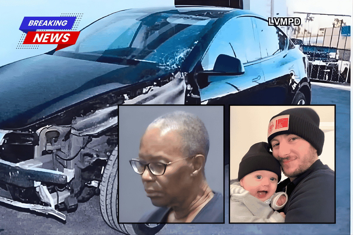Tesla driver sends a father crossing the road 155 feet in the air to his death, then informs AAA she hit a coyote and wants coverage