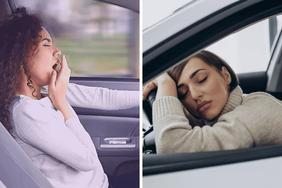 The Legality of Car Sleeping in Hawaii What You Need to Know
