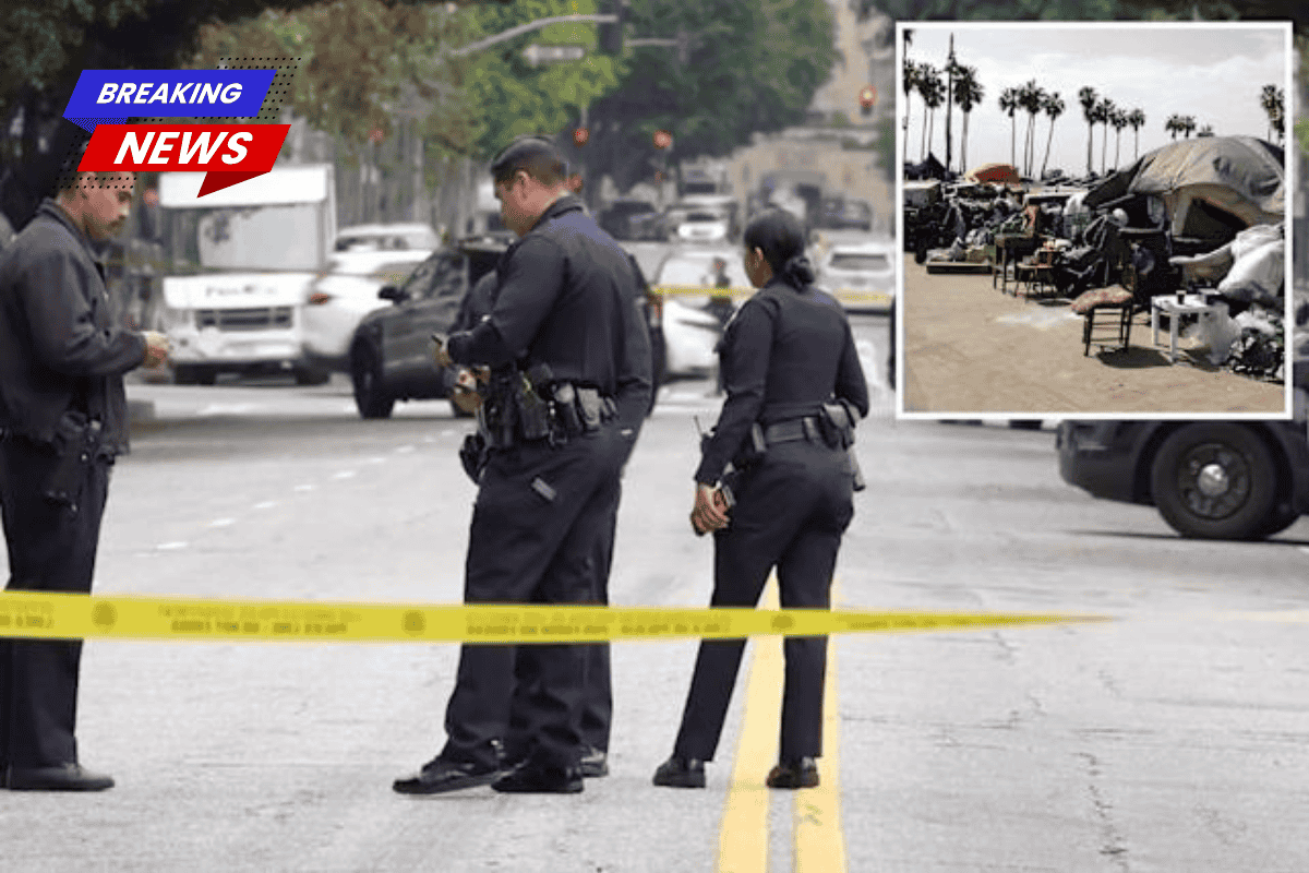 The homeless man accused of the horrific random stabbing of a woman on a DTLA street is already on release on parole