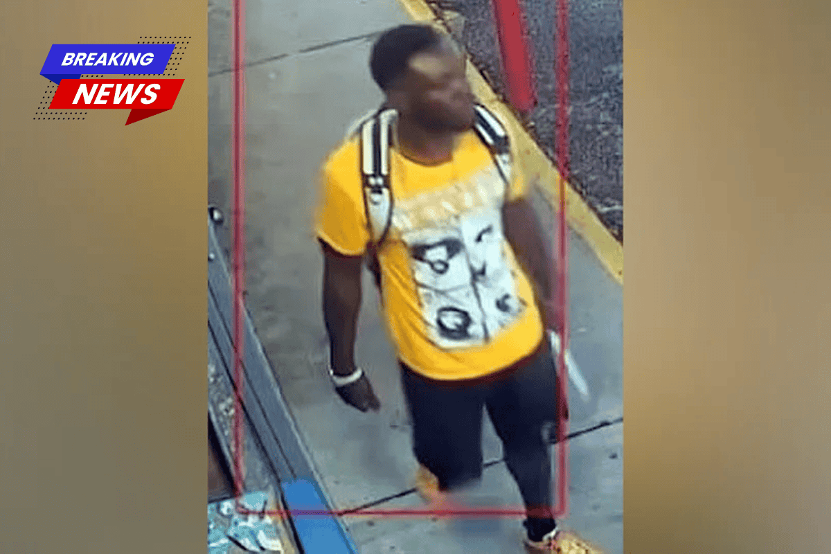 The suspect in the daylight hammer attack is an illegal alien who was released under Biden policies, according to DHS