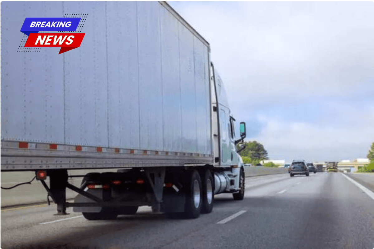 Too many vehicles were crashing—it was not an accident
