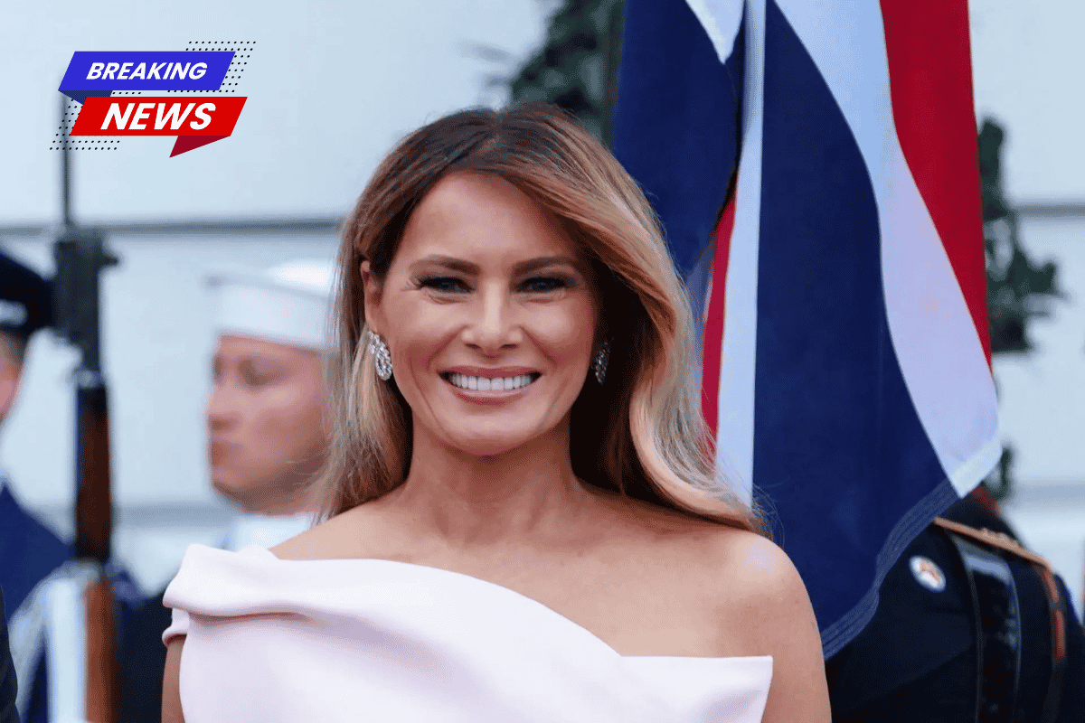 Trump's wife, makes breathtaking entrance in $80K head-to-toe haute couture outfit at the State Dinner