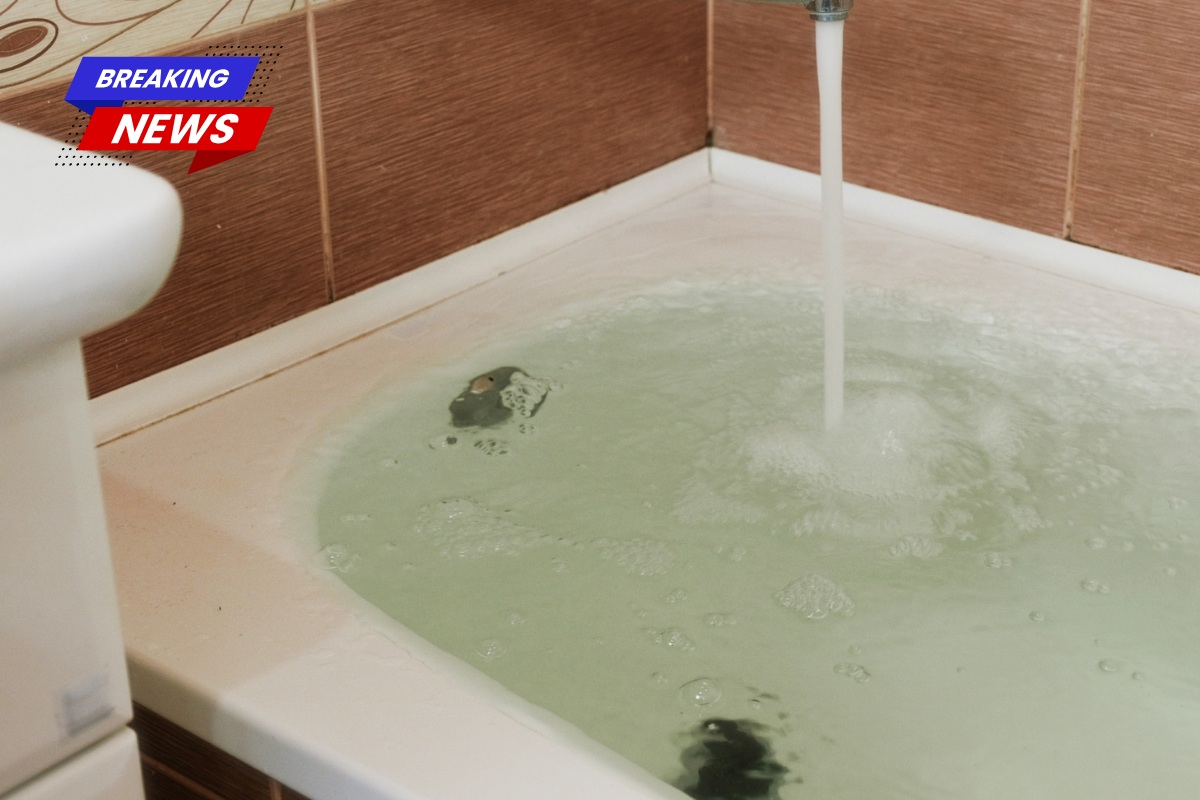 12-year-old discovered special needs twins drowning in tub after 'loving and caring mother allegedly left them alone