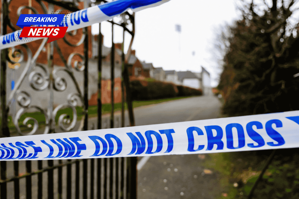 A 16-year-old international cart racer allegedly knifed the Airbnb host to death just hours after renting the room