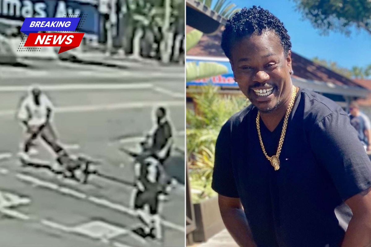 A 37-year-old man was stabbed to death on the Hollywood Walk of Fame after a brutal dog attack