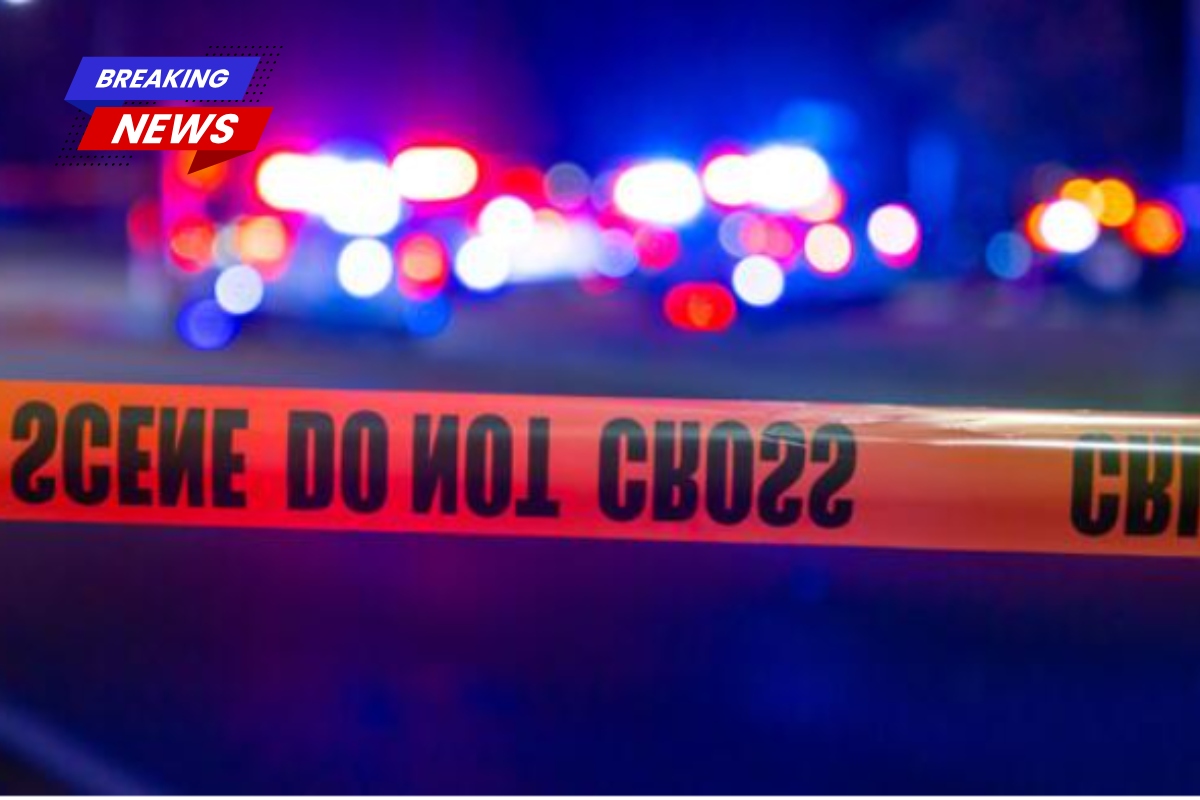 A Chicago mother allegedly stabbed her two-month-old baby girl to death before jumping out a second-story window