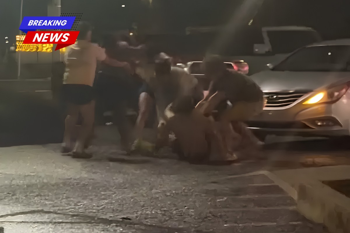 A brawl broke out in the parking lot of the Johnston Street Diner in Lafayette