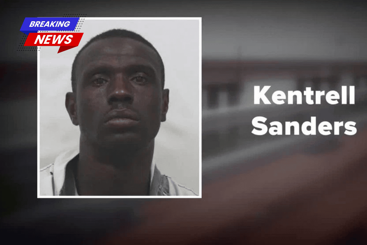 A crime spree involving stabbings, robbery, and stolen cars halted when a man plunged into a river, according to investigators