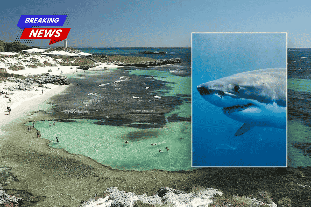 A man died after being attacked by a 13-foot great white shark near a popular island resort, according to officials